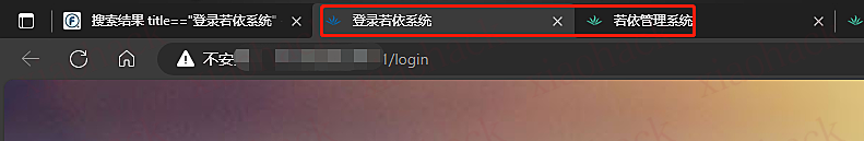 点击放大图片 若依登录系统
